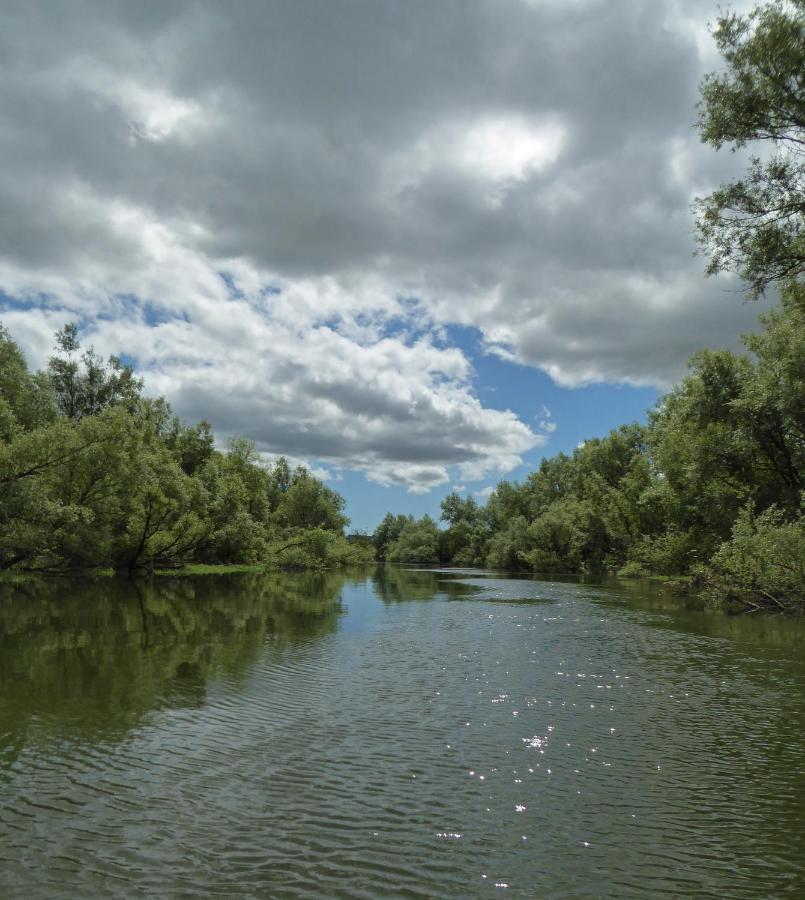 Blackwater Eco Pods Villierstown Zewnętrze zdjęcie